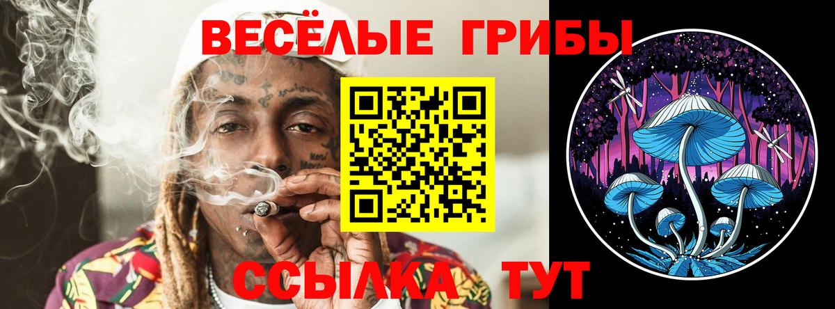 Галлюциногенные грибы ЛСД  Псилоцибиновые грибы Psilocybine cubensis  Вход с VPN  магазин продажи   Ивантеевка 